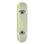 GLOBE перчатка KIDS RACER FOG NICRO Complete 6.5 скейтборд Kids детский Complete конечный продукт 