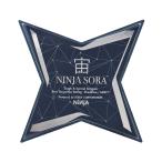 NINJA Ninja .SORA ABEC7 скейтборд скейтборд подшипник масло модель техническое обслуживание 