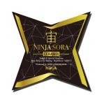NINJA Ninja .(SORA) CERAMIX U4277-C01 скейтборд подшипник 