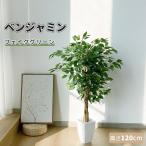 ショッピング観葉植物 RAKU  フェイクグリーン 人工観葉植物 人工観葉樹 造花 ベンジャミン  鉢付 おしゃれ オフィス 開店祝い 120cm お手入れ簡単 水やり不要 虫害の心配なし