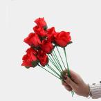 ショッピングMAGICIAN 【並行輸入品】Blue ther トーチトゥローズ5個パック   ファイヤーマジックトリック 炎 外観 フラワー プロフェッショナル マジシャン