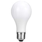 ショッピングMAGICIAN 【並行輸入品】NUOBESTY Light Bulbs Light Bulbs Light Bulbs Magical Light Bulb