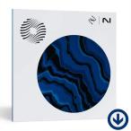 iZotope( I zo тауп )Ozone 12 Elements[ загрузка версия ]/ AI функция оборудован будущее. master кольцо tool 