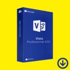 Visio Professional 2021 日本語 [ダウンロード版] 永続ライセンス / 1PC マイクロソフト