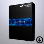 Zynaptiq ADAPTIVERB [ загрузка версия ] / AI функция оборудован популярный Reverb плагин 