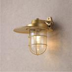 taka шоу простой LED морской свет 100V держатель модель затенитель от солнца есть автомобиль in Gold источник света цвет : лампа код цвета :71056000 HFC-D07X