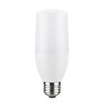LED電球、LED蛍光灯