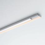 DN свет LED полки осветительное оборудование DNLED's LED.. свет TA-LED общая длина 1074mm лампа цвет (2800K) высота . цвет type TA-LED1074H28 * производство на заказ товар 