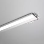 ☆DNライティング LED棚照明器具 DNLED's たなライト TFP-LED 光源一体型 薄型面発光 本体寸法827mm 温白色 TFP-LED827WW