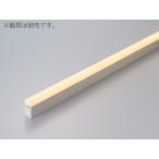 ＤＮライティング　TRIM LINE 交換用LEDモジュール 間接照明 TR2 D 調光兼用型 ドーム型カバー 全長1249mm 温白色(3500K)　TR2-1250WWD ※受注生産品