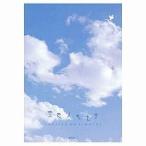 ミドリ 空色ノキモチ便箋 50枚入 2039