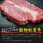 最高品質プライム 1ポ�