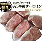 A5等級 訳あり 格安 九州産 ブランド 黒毛和牛 サーロイン ブロック 量り売り 暫定重量 平均約0.8〜1.4kg前後 冷凍 焼肉 肉 お歳暮