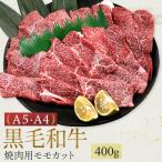 A5 A4 ���� ���� ���I �ē� �J�b�g 400g ������ �� �������� A5 A4 ���� ���јa�� �M�t�g �X�e�[�L �a�� �ē� ���� �� �M�t�g ��Ε� ���Ε�