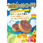 . остров хлебопечение рефрижератор ткань Okinawa коричневый сахар. орехи ki колено MS 69g×96 шт [ Pas ko*tenishu* рефрижератор хлеб * рефрижератор сладкие булочки *. остров хлеб * departure . необходимо ]