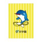 ショッピング下敷き 浜学園 オルパスグッズ 下敷き