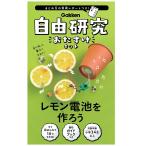 自由研究キット 小学生 レモン電池を作ろう 理科実験