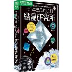 キラキラふわふわ 結晶研究所 学研ステイフル