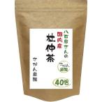 お得用 杜仲茶 国産 ティーパック 3.0g×40包 健康茶さがん農園