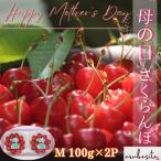 予約■母の日さくらんぼ【佐藤錦】 秀品 M  200g(100gダイヤ×2)