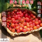 [ ограниченное количество предварительный заказ * отметка 5 раз ] Yamagata префектура производство * для бытового использования вишня [ Sato .] примерно 700g M~L есть перевод 6 месяц средний .~
