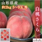  скорейший предварительный заказ специальная цена Yamagata префектура производство белый персик Sakura примерно 2kg(5~9 шар ) превосходящий товар 9 месяц средний .~ l персик белый персик фрукты фрукты 