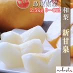 予約■鳥取県産 希少和梨【新甘泉】約2.5kg 6〜8玉 8月下旬〜