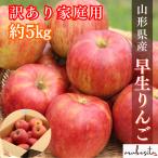  скорейший предварительный заказ специальная цена Yamagata префектура производство . сырой яблоко примерно 5kg роза .. есть перевод для бытового использования l10 месяц сверху .~ яблоко фрукты фрукты 