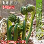 【早期予約特価＆ポイ