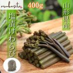  пробный бесплатная доставка # Yamagata префектура производство соль .....400g