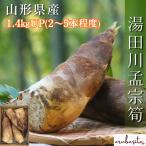  последний предварительный заказ # утро .. горячая вода рисовое поле река ... примерно 1.5kg(2~5шт.@ степень ) 5 месяц средний .~5 месяц последняя декада 