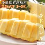  предварительный заказ # Okinawa префектура Ishigakijima производство .. Gold barrel сосна примерно 2.5kgUP(2~3шт.@) 6 месяц сверху .~