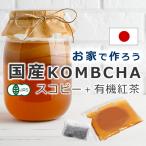 ショッピングキット コンブチャ キット スコビー 紅茶キノコ 株 こんぶ茶 スタートキット メール便  スコビー＋紅茶葉 返品交換不可