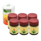 キダチアロエ葉粉末50g×6個セット