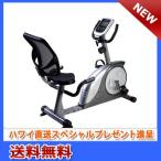 【ダイコー】リカンベントバイク DK-8604R