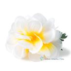 フラダンス 髪飾り プルメリア ヘアクリップ ホワイト 白色 フラワー ハワイ 発表会 ウクレレ 和装 成人式 結婚式 卒業式 イベント 花