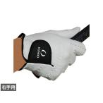 ショッピングゴルフグローブ イグニオ メンズ ゴルフグローブ 右手 天然羊革 IG-1G1036GG