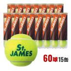 ダンロップ St.JAMES セント・ジェームス 箱売り60球 4球入り×15缶 STJI4CS60 硬式テニス プレッシャーボール セントジェームス DUNLOP