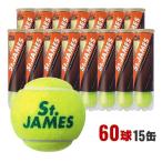 ダンロップ テニスボール セントジェームス St.JAMES 硬式テニス ボール 箱売り 4球X15缶＝60球 STJAMESI4C プレッシャーボール DUNLOP