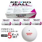  Kenko soft теннис мяч легализация лампочка 5 дюжина 60 лампочка ввод 12 лампочка ×5 коробка комплект TSOW-V массовая закупка soft теннис клапан(лампа) тип мяч Kenko