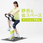 イグニオ フィットネスバイク IG-FB002LX YG マグネティックバイク エクササイズバイク フィットネスマシン マグネットバイク バイク エアロ IGNIO
