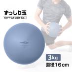 tigola песок металлический поверхность PVC soft вес мяч 3KG TRzsilitama3K 3 килограмм вес товары TIGORA