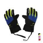 roishuREUSCH SIMON R-TEX XT_ Simon R-TEX XT 6261210 Junior Kids ребенок лыжи перчатка reusch