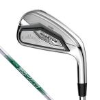  Callaway QUANTUM MAX железный Golf N.S.PRO 950GH neo S #5I 22.0* 2026 год модели мужской Callaway