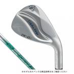 新品未使用キャスコ ドルフィンウェッ ジDW-125G 48°NS950neo キャスコ DW-125G ドルフィンウェッジ セミグースネック ゴルフ