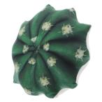  ключ Stone десерт план to подушка D DEPLCUD кемпинг интерьер смешанные товары KEY STONE