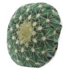  ключ Stone десерт план to подушка F DEPLCUF кемпинг интерьер смешанные товары KEY STONE