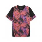  Puma мужской футбол / футзал рубашка с коротким рукавом INDIVIDUALCUP SS рубашка 660199 : черный PUMA