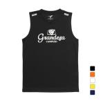  ласты ta Junior Kids * ребенок футбол / футзал JR GDZ безрукавка FT4155 FINTA