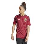  Adidas мужской футбол лицензия рубашка Belgium представитель 2024 Home копия форма IQ0769 : красный adidas